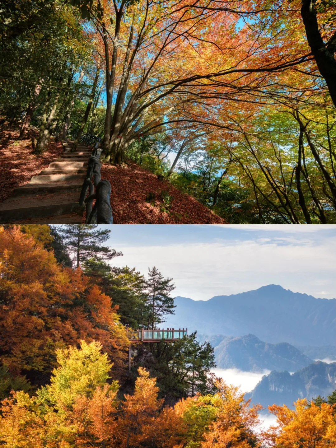 光雾山红叶🍁全攻略！看这一篇就够了