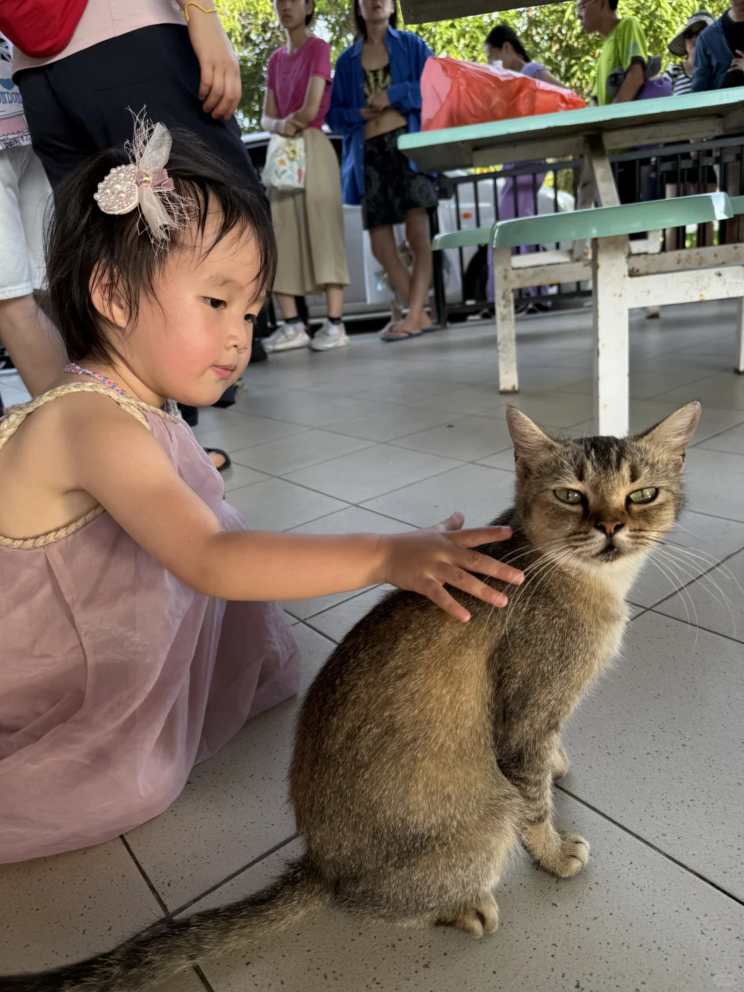 说真的!!马来西亚才是国人遛娃天花板!!