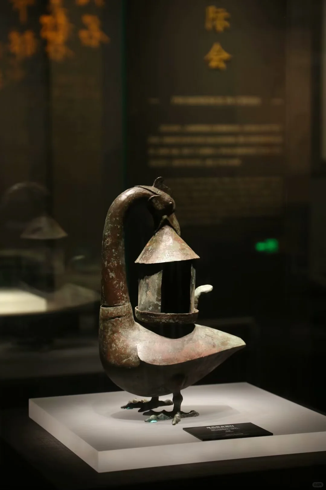 邯郸24小时极限挑战！🏯附超详细攻略