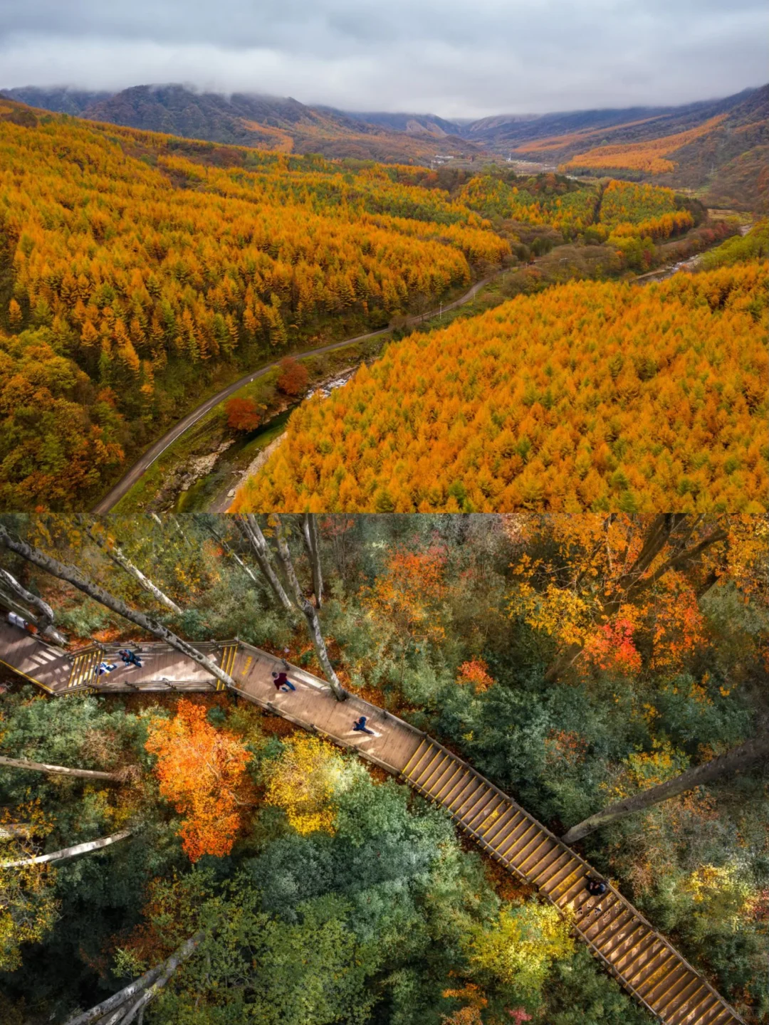 光雾山红叶🍁全攻略！看这一篇就够了