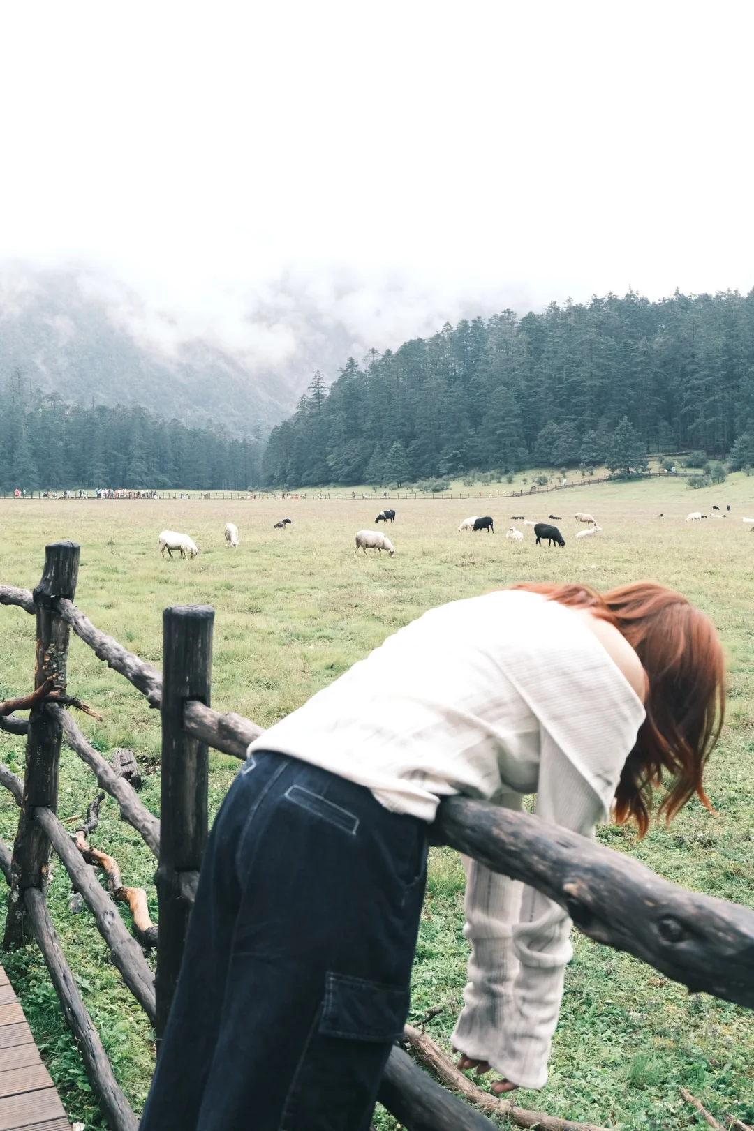 纯玩不报团不踩雷！！云南七天七晚旅游攻略🧾
