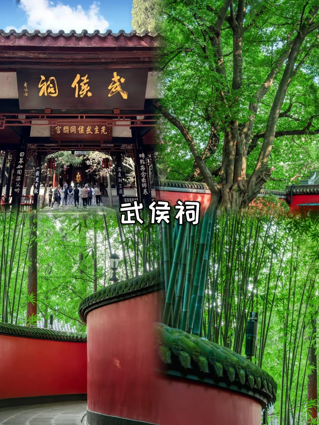 成都+九寨沟五日游❗10-11月两人1000+💃