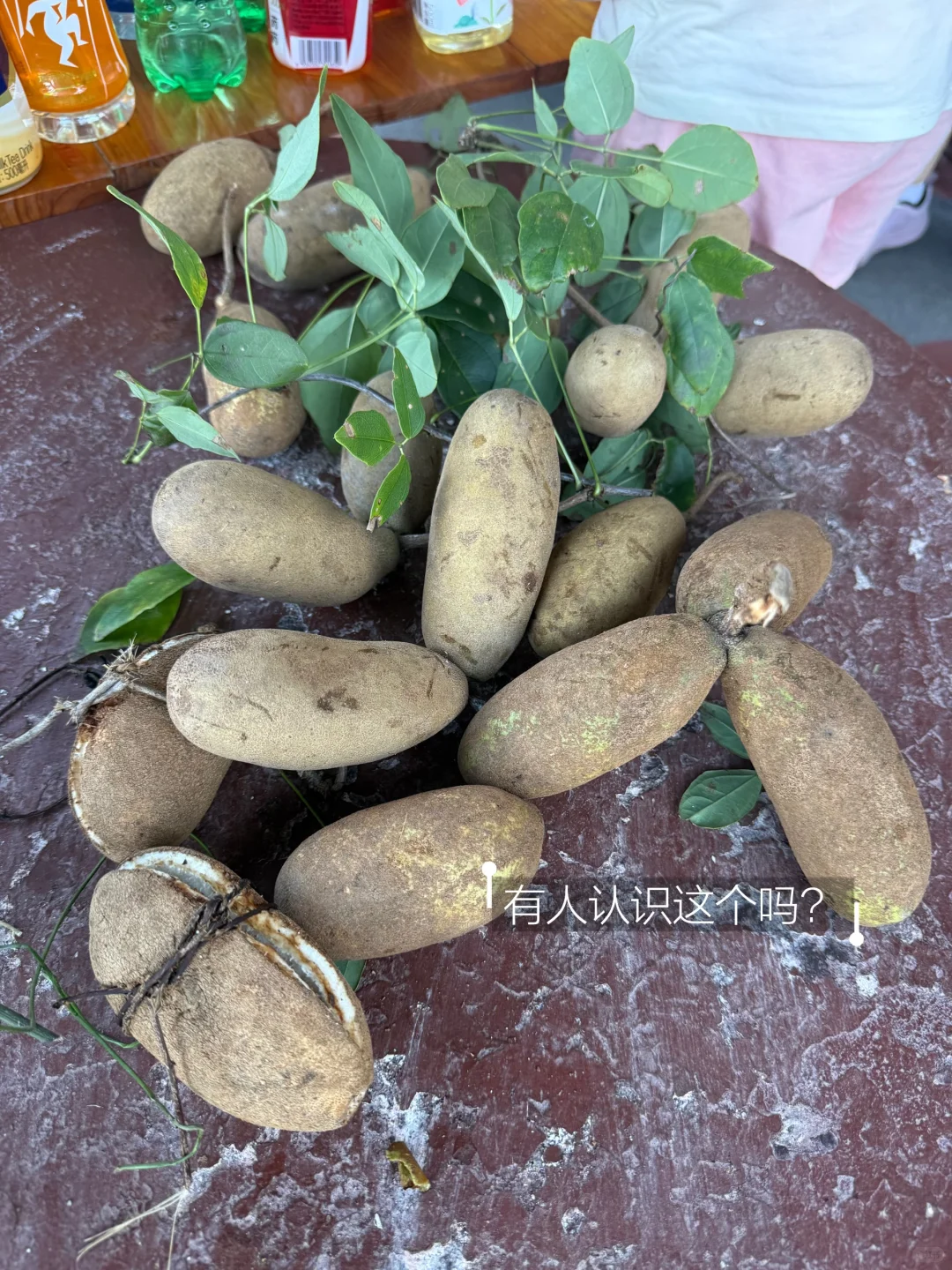 湖南人嘴真严❗️这么美的5A景区竟然没啥人！