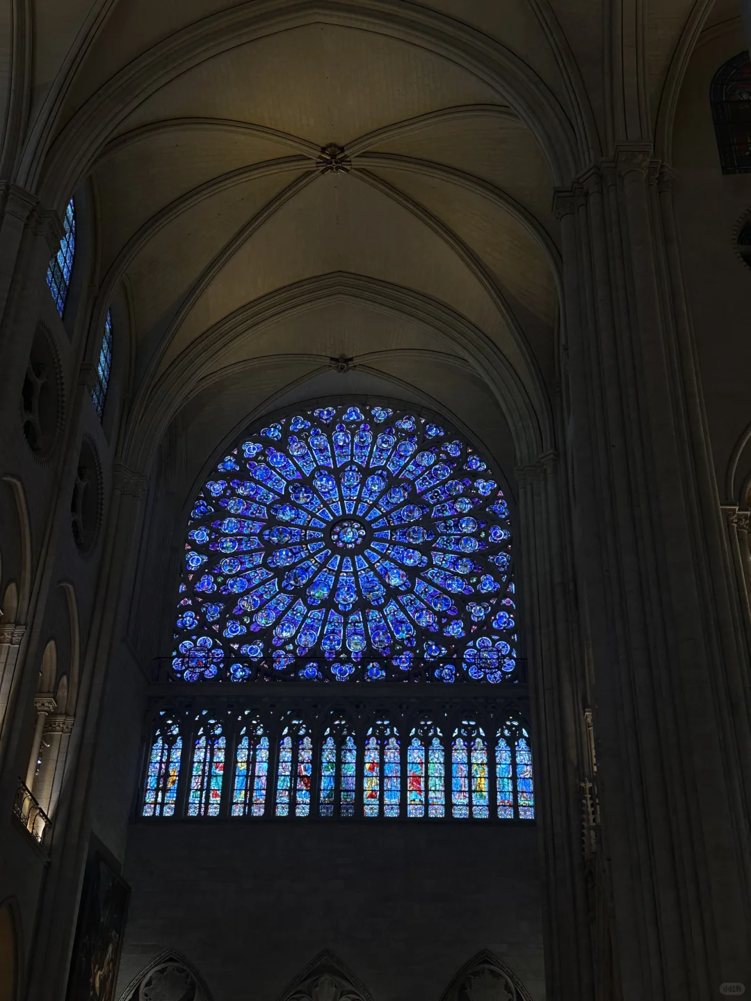 是那个放假5天也要从上海往返巴黎的女孩