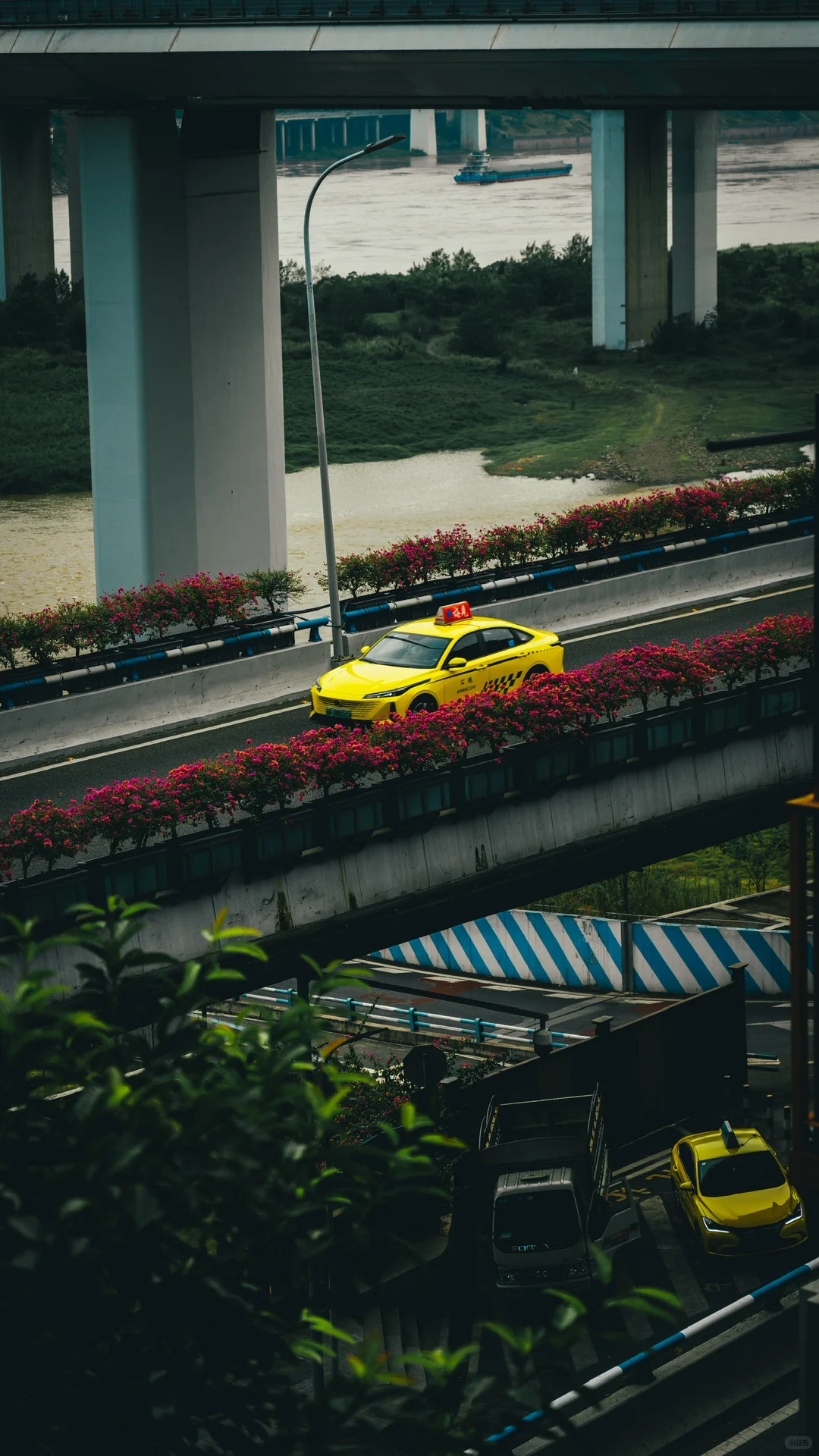 为了这1️⃣8️⃣张照片，我特意飞了一趟重庆