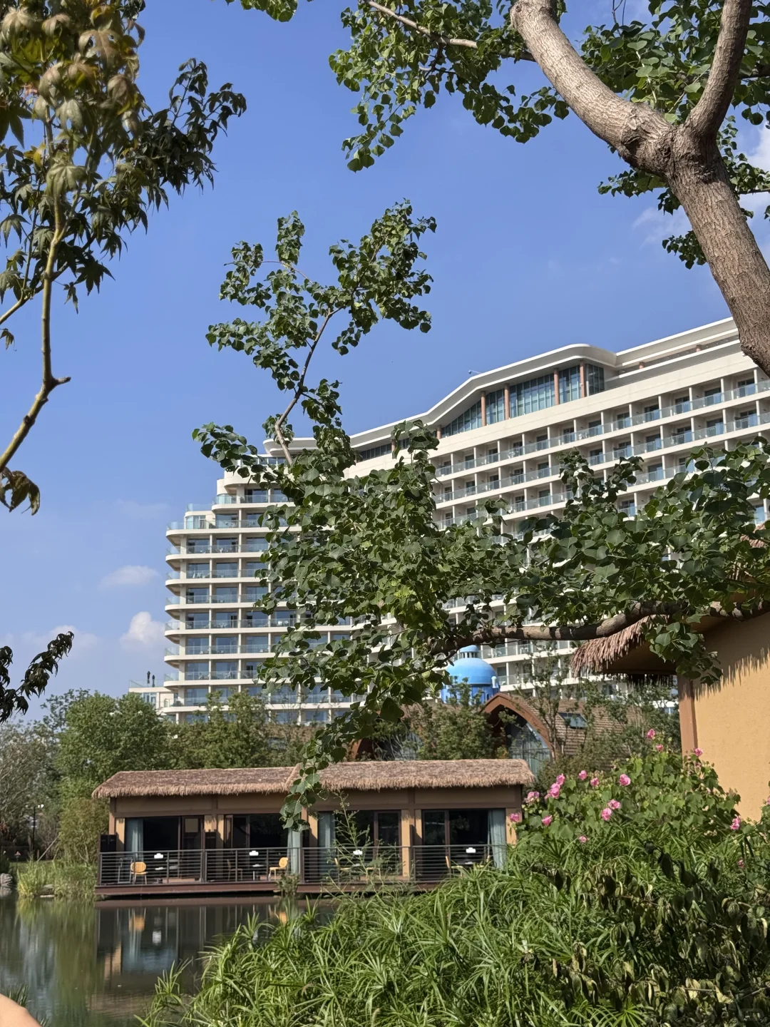 不是新西兰，是武汉，住进森林🌳树屋🛖