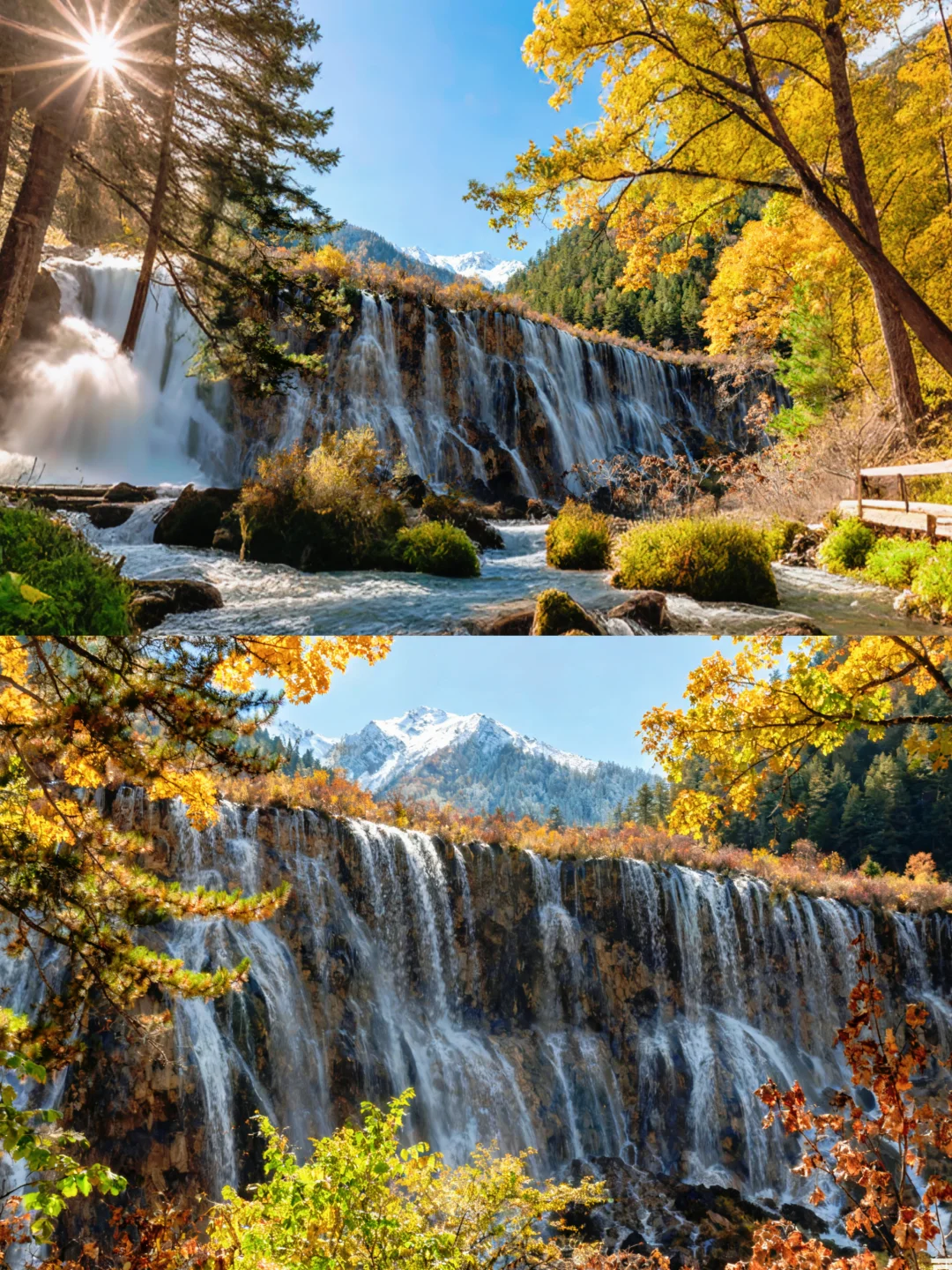 九寨沟秋日限定路线‼️五彩斑斓机位分享