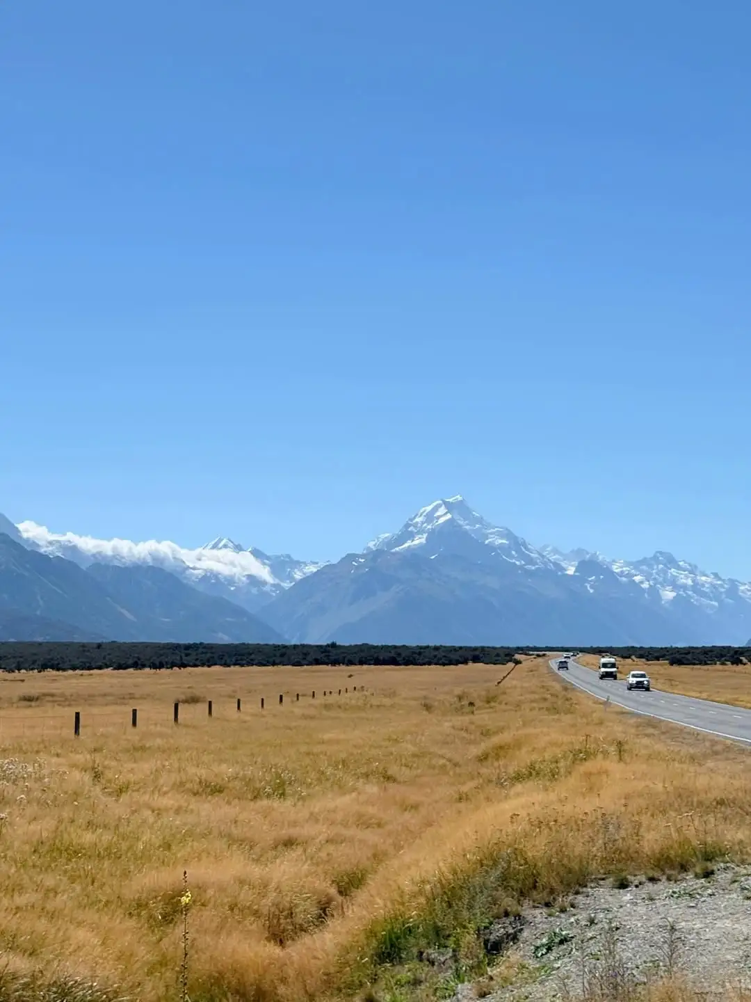 关于我和男朋友报了个新西兰纯玩团后续