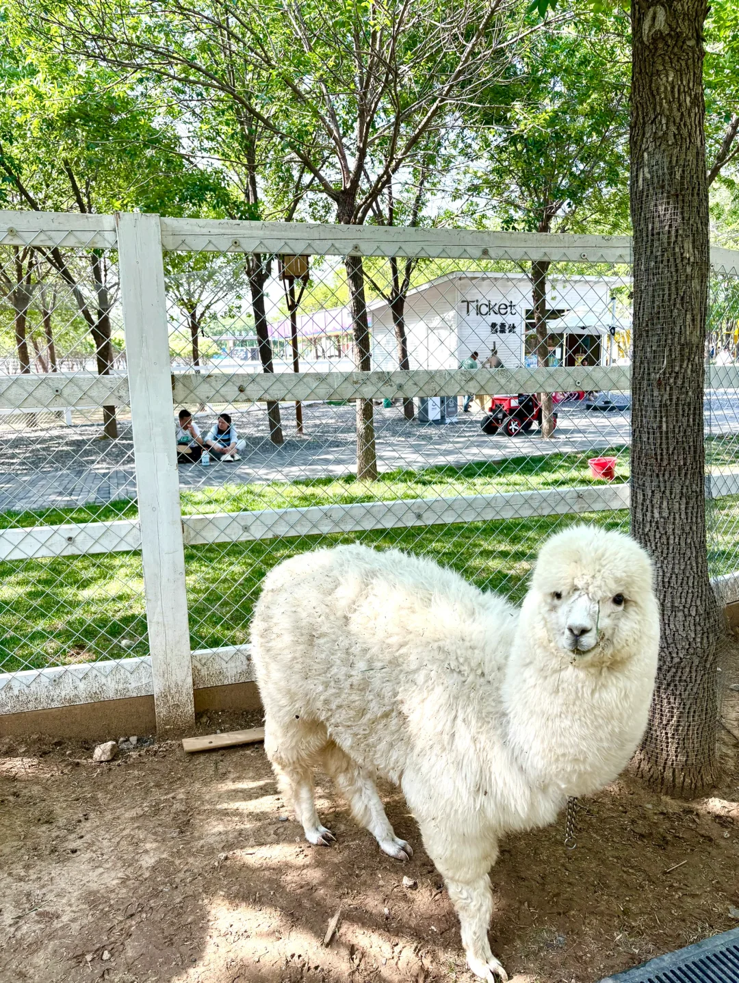 一站式遛娃宝藏地🏕——邯郸🦌鹿尔花园
