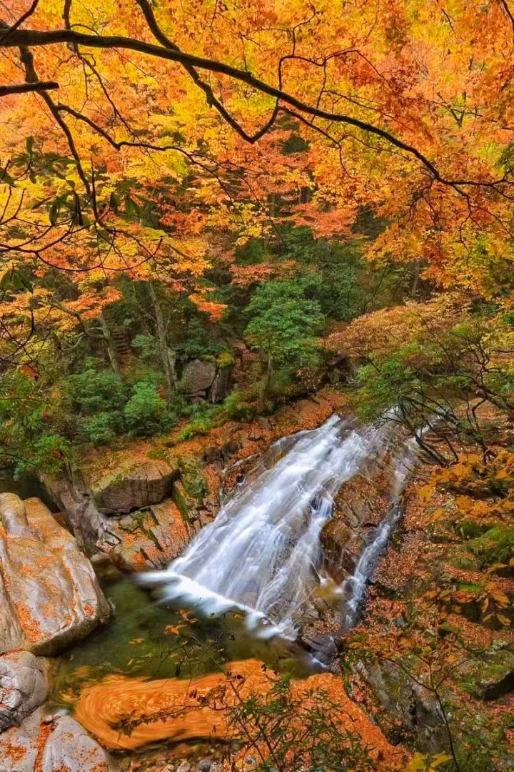 光雾山红叶🍁全攻略！看这一篇就够了
