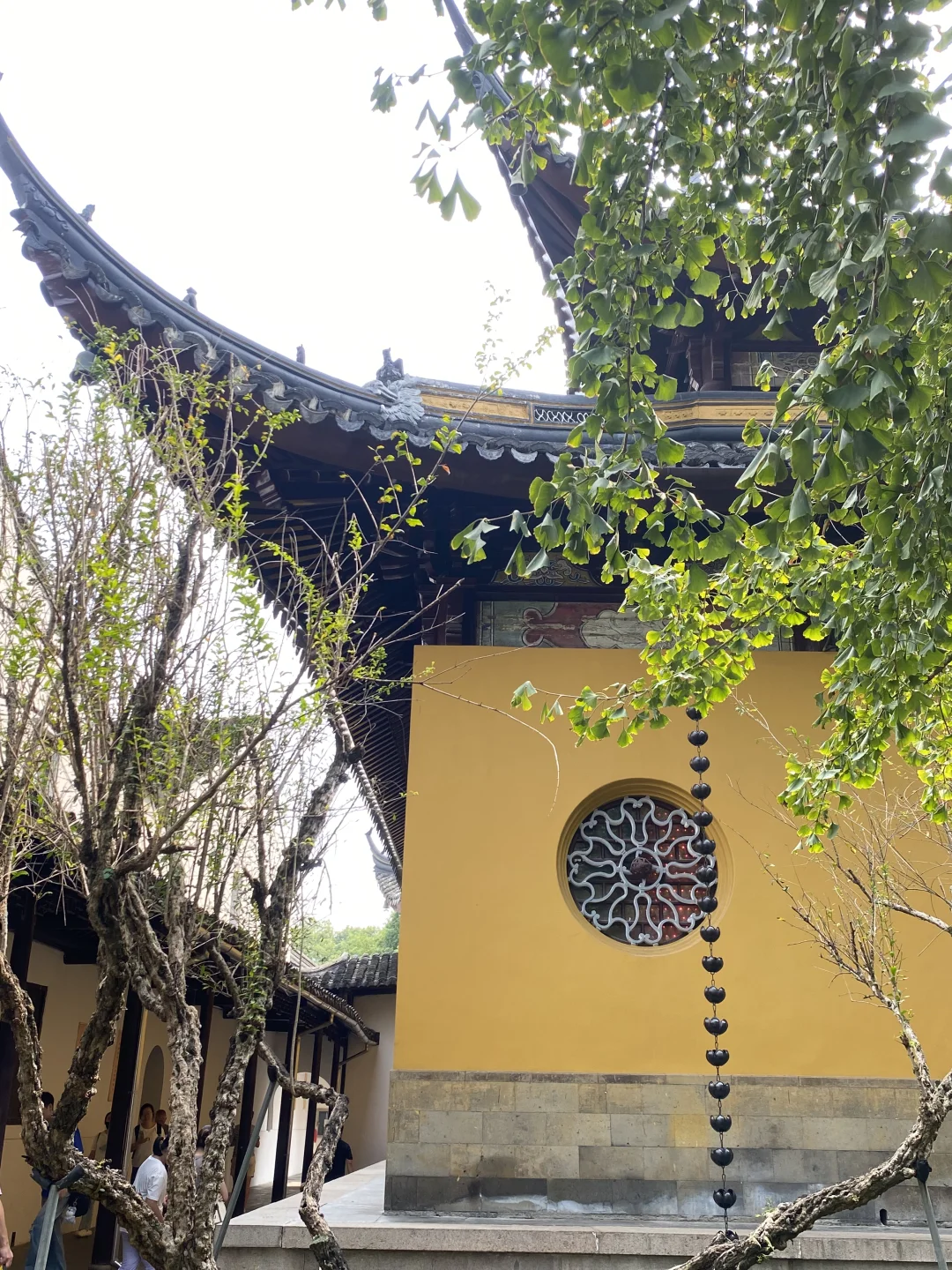 上海苏州往返一日游之放空