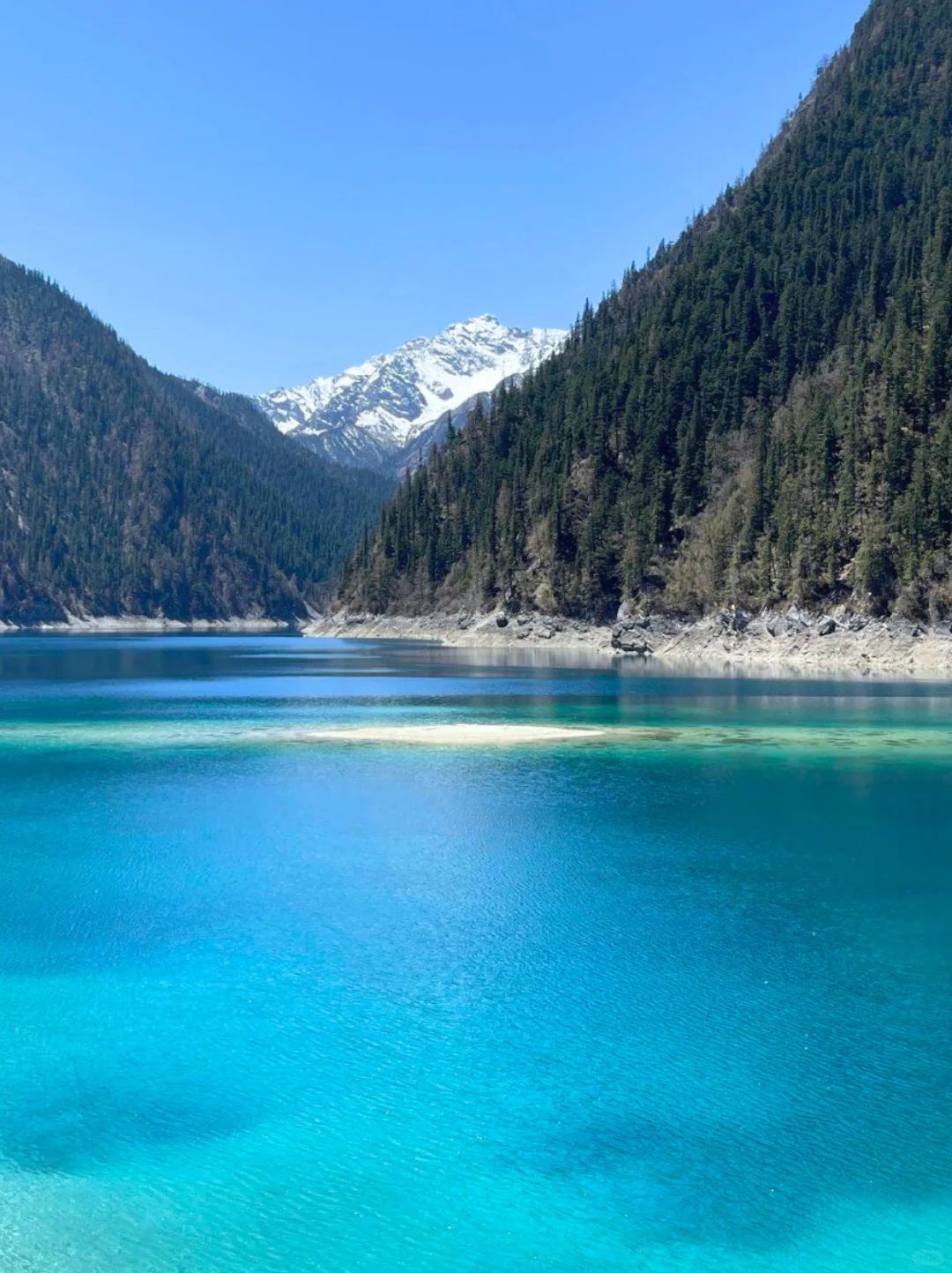 九寨沟超全时间表🔥看这篇就够啦