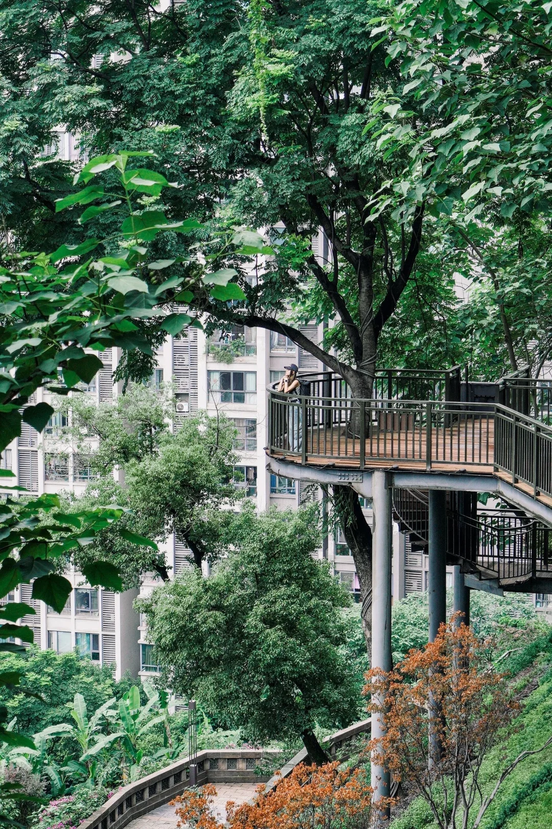 重庆人嘴真严！蔡依林打卡的步道居然不宣传