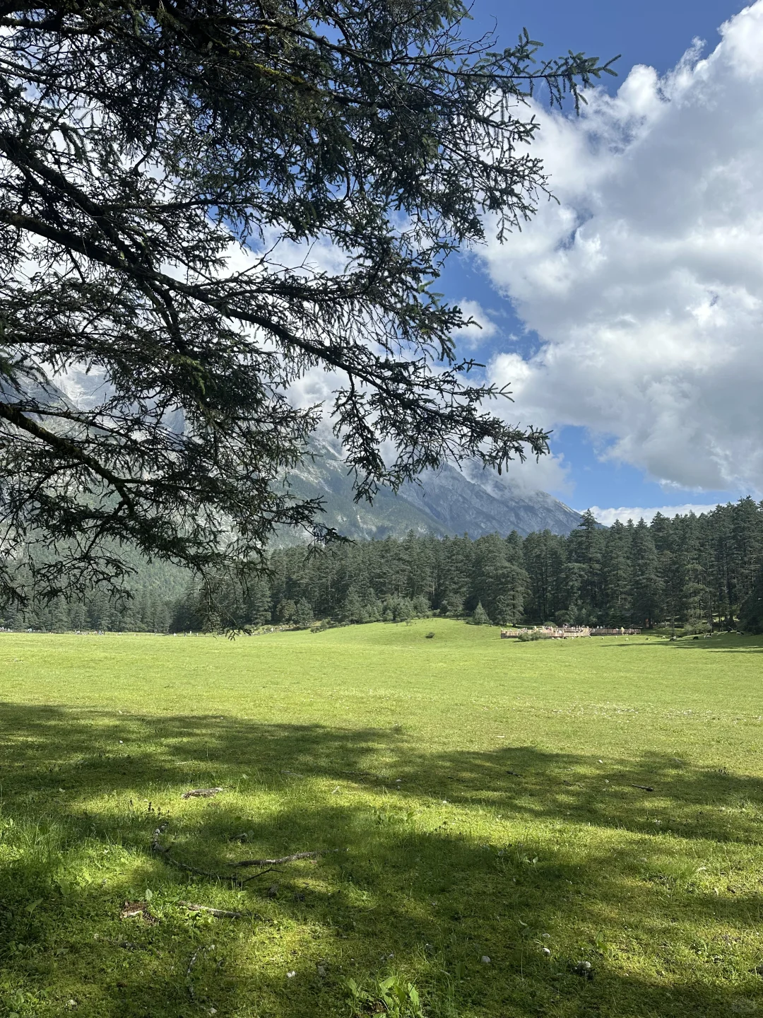 云杉坪➕蓝月谷➕玉龙雪山一日游攻略
