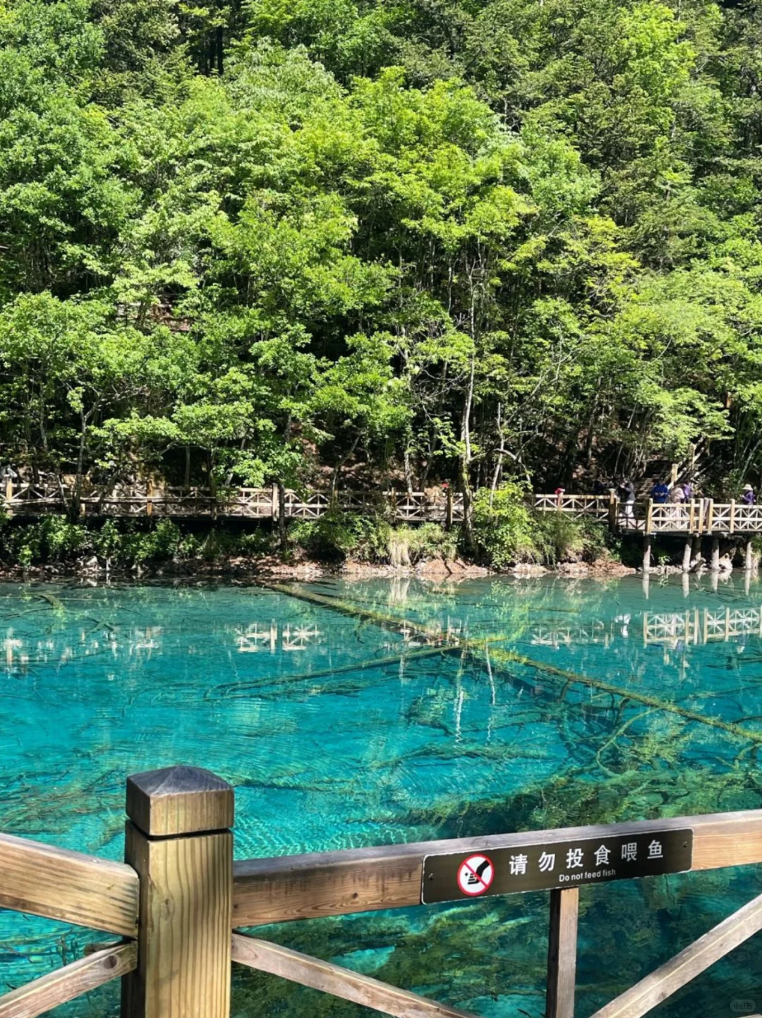 九寨沟超全时间表🔥看这篇就够啦