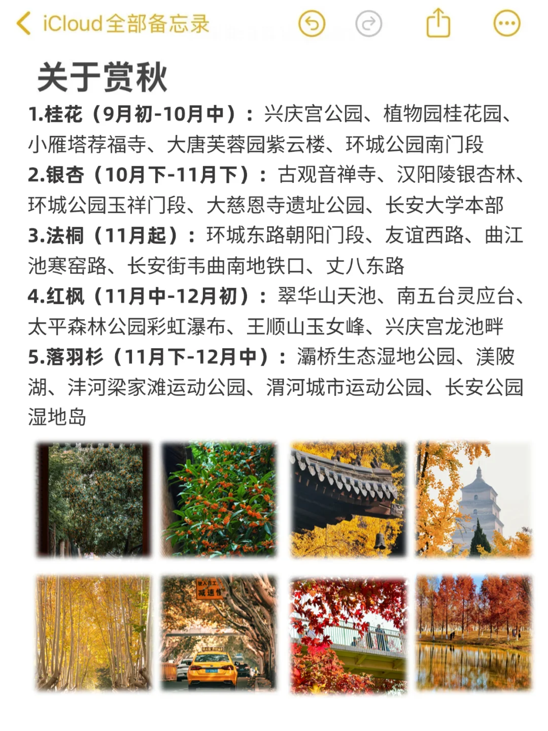 西安景点锐评|个人真实感受