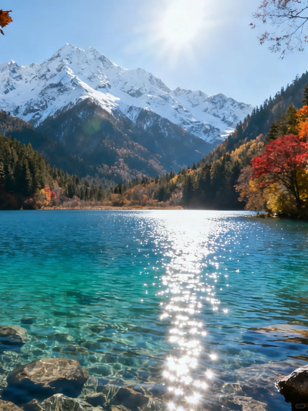 九寨沟秋日限定路线‼️五彩斑斓机位分享