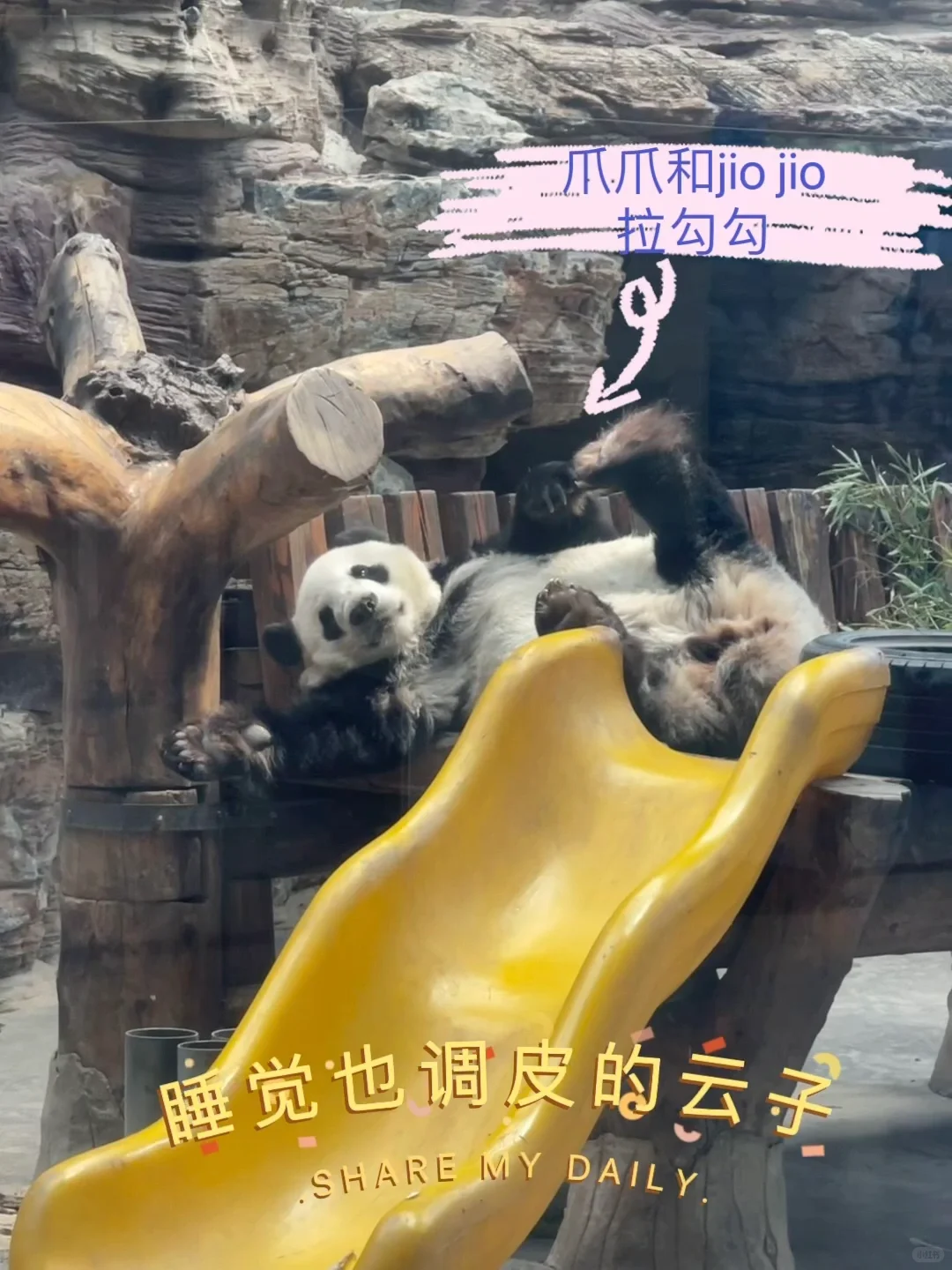 石家庄动物园｜这里开心就像呼吸一样简单‼️