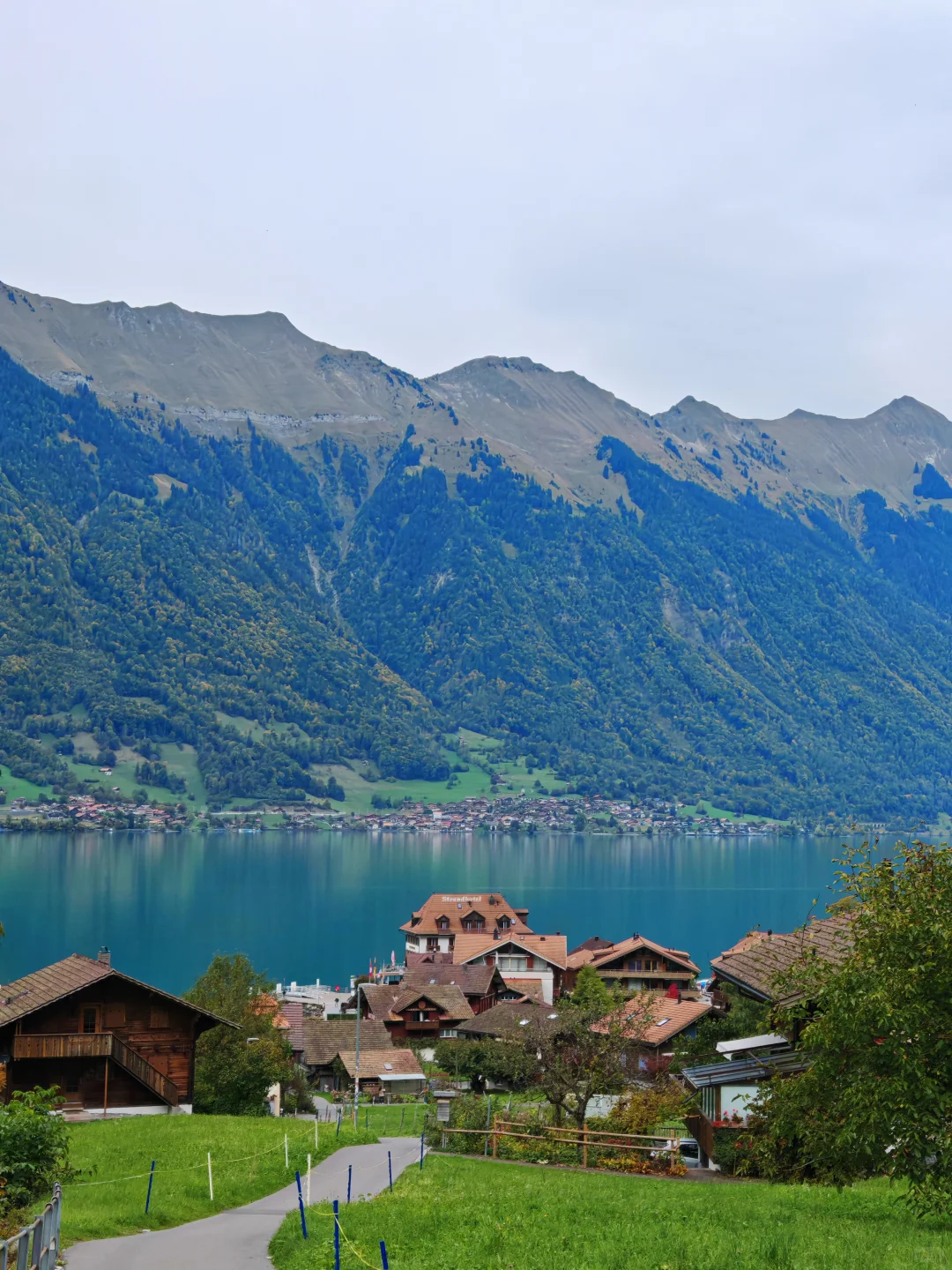 斑马旅游14天团费3.7w的法意瑞打卡团。。。
