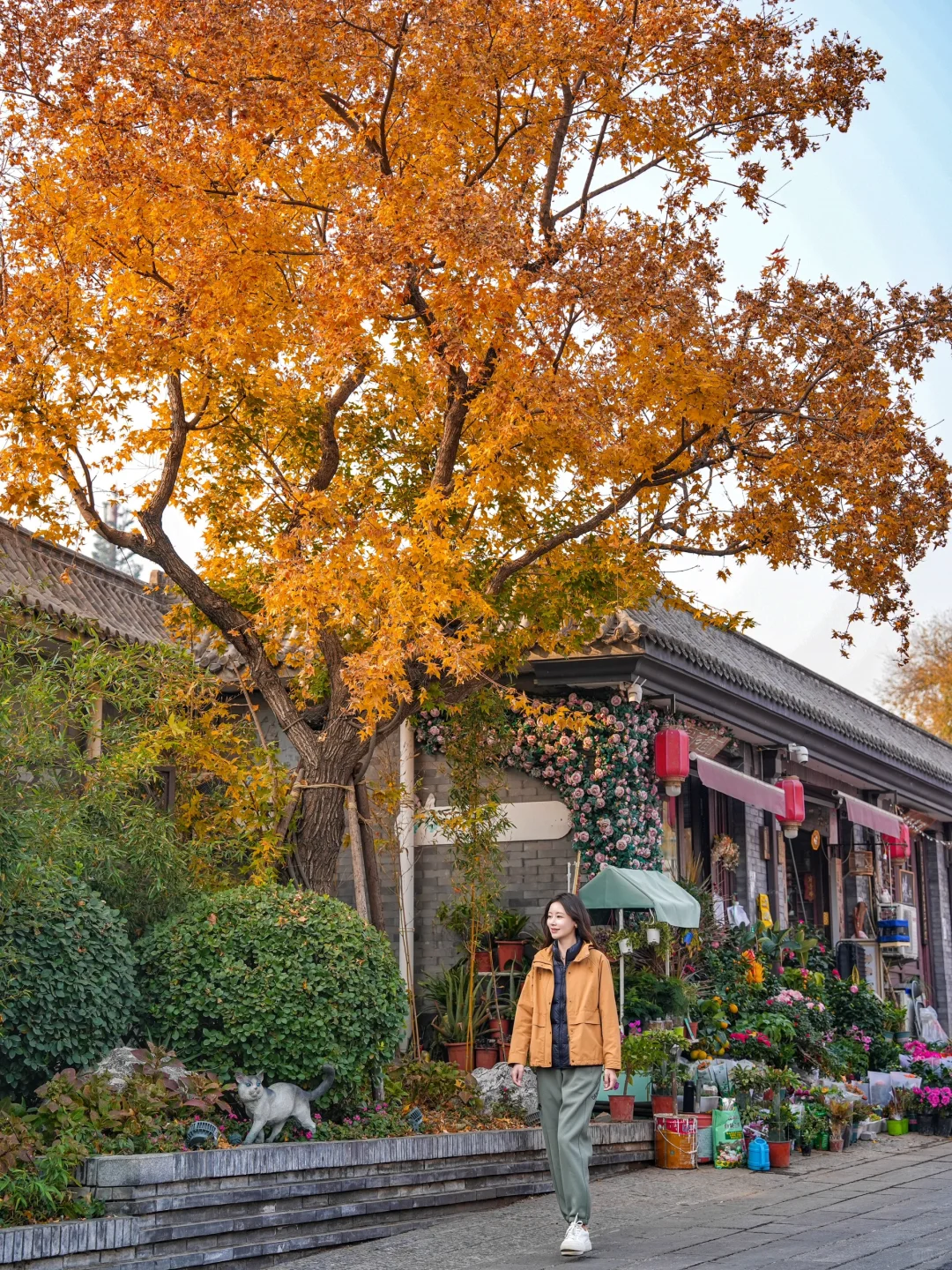 📍北京｜适合一个人逛一下午的地方 (5/100)