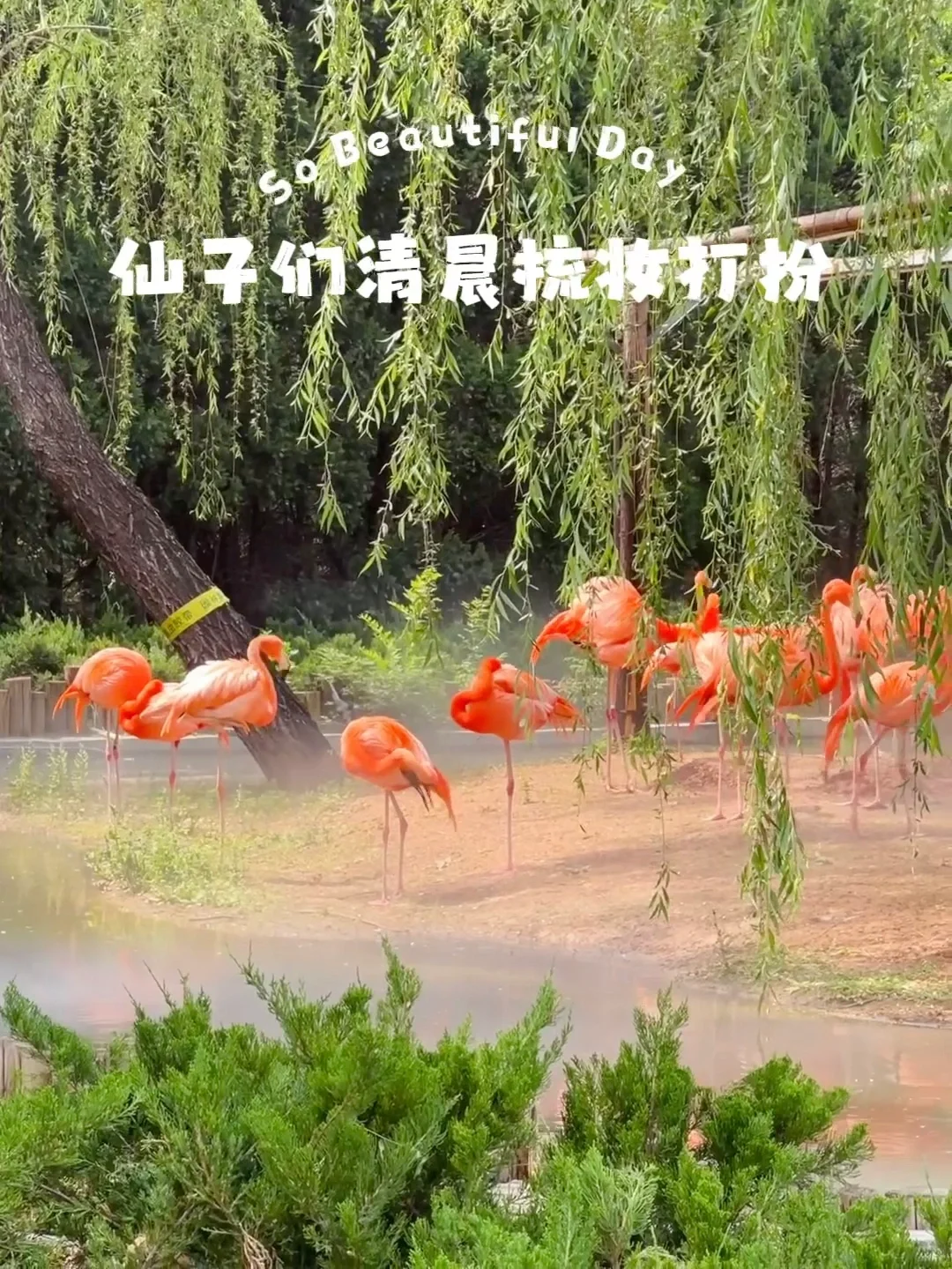 石家庄动物园｜这里开心就像呼吸一样简单‼️