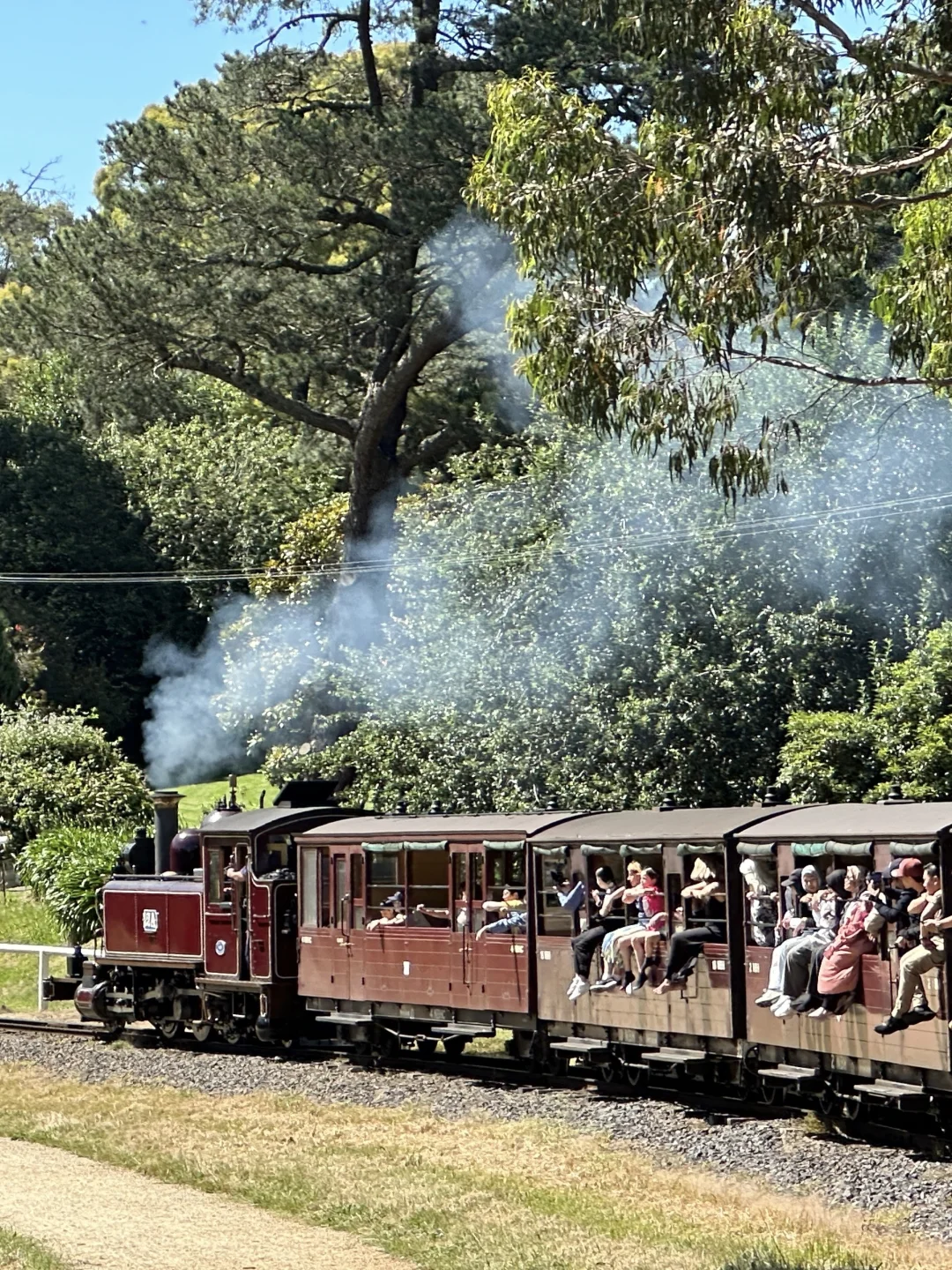8-10月计划去澳洲的姐妹,能帮一个是一个😭