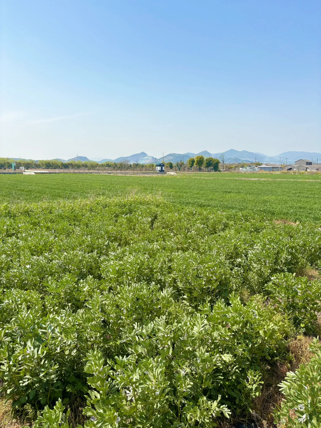 不允许你们还不知道这里‼️好适合遛娃人还少