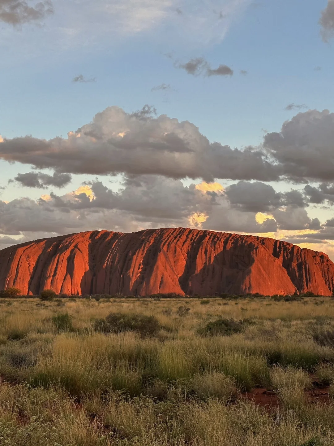 8-10月计划去澳洲的姐妹,能帮一个是一个😭