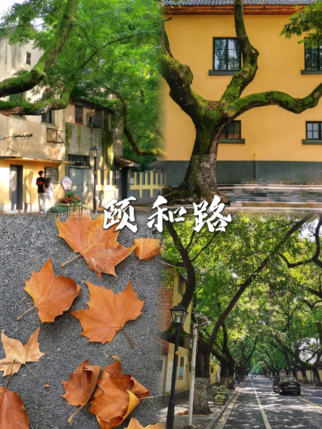 人均500💰南京超详细吃住行攻略📝直接抄