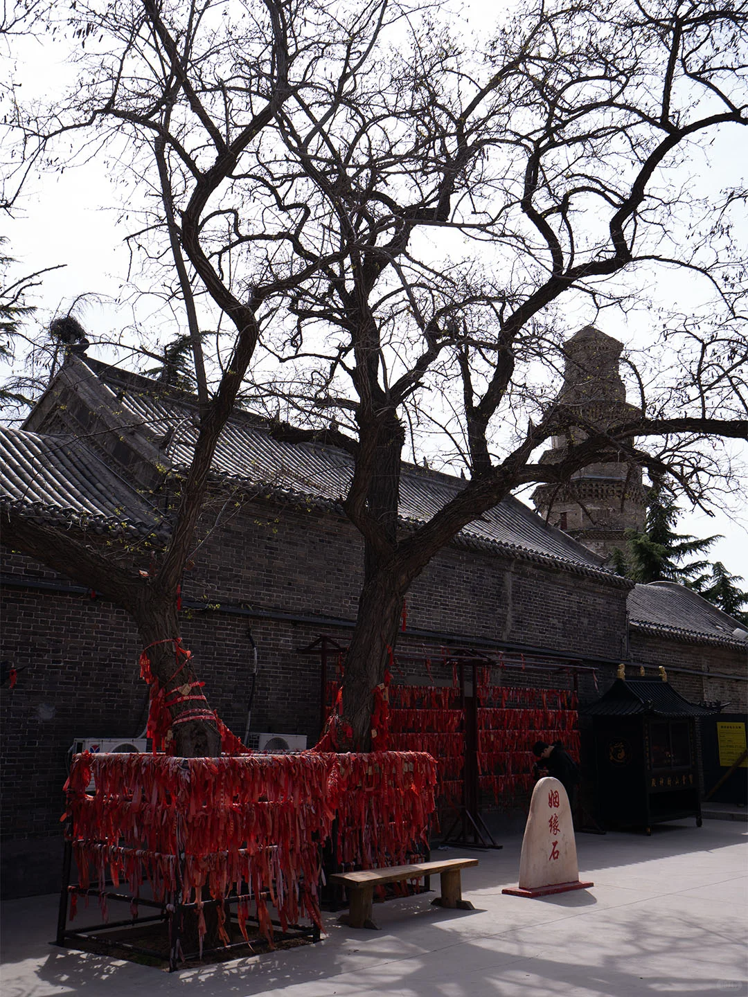 邯郸3天2夜！神仙玩法被我挖到了🔥