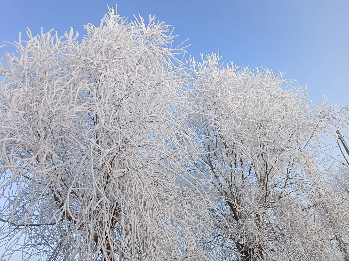 2025松原九大旅游景点最新攻略