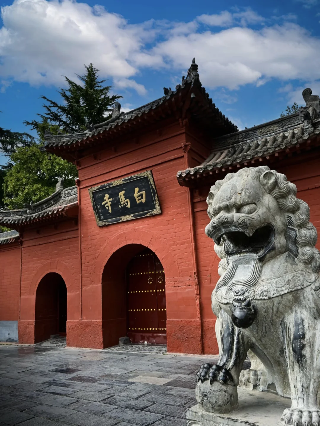 这个国庆节总要来趟洛阳吧!🇨🇳