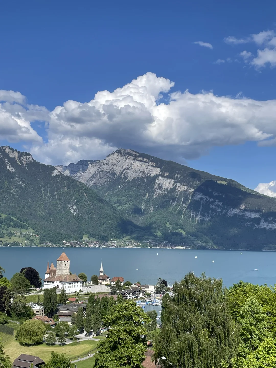 🇨🇭瑞士旅行必看|绝美景点+超实用攻略🌟