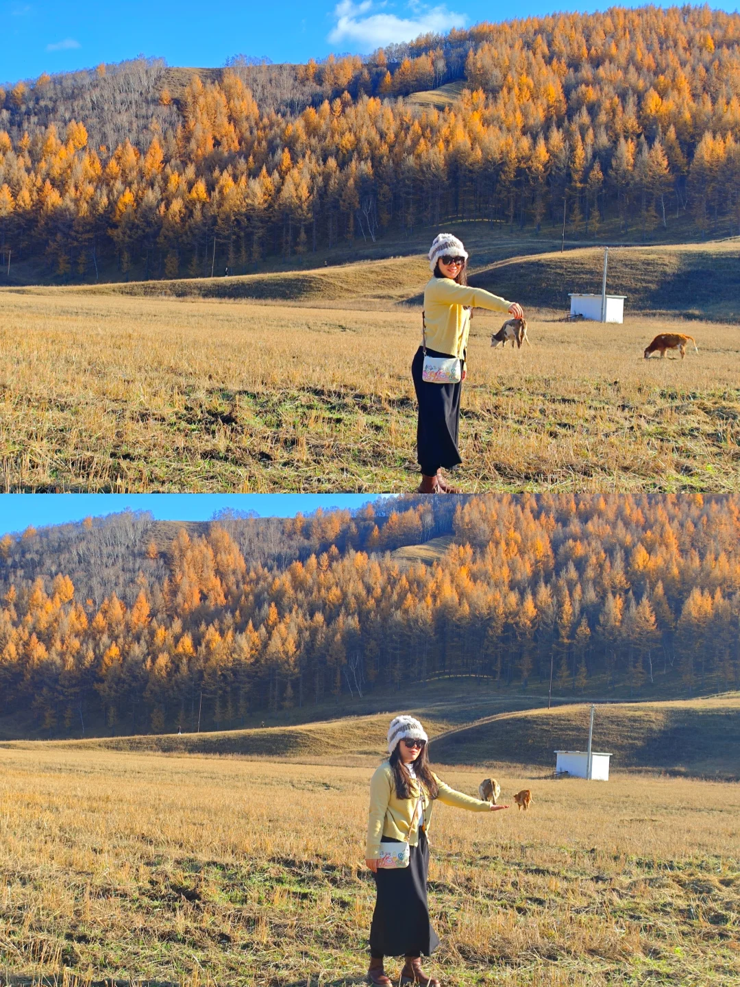 呼市周边赏秋这几个地方一定要去！！！