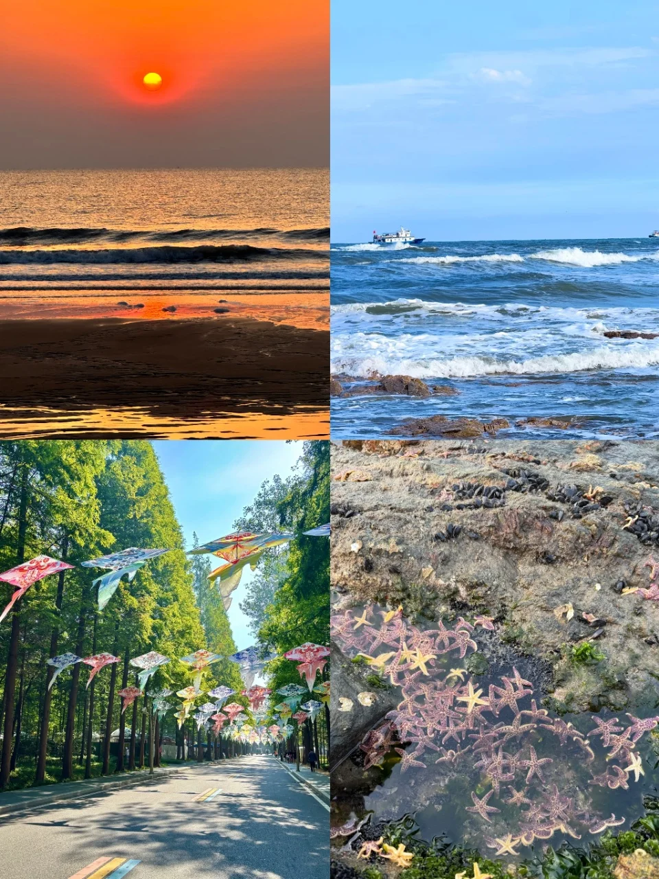 日照必玩景点，时间紧凑的姐妹…