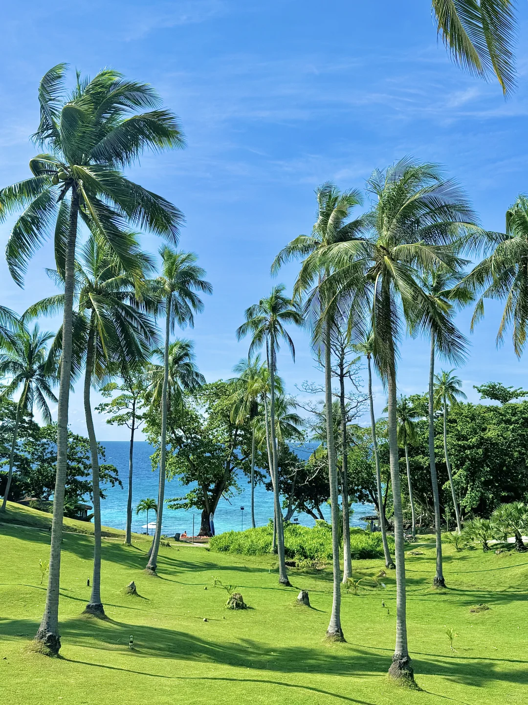 淡季的普吉岛真的美疯了。。。(攻略版)