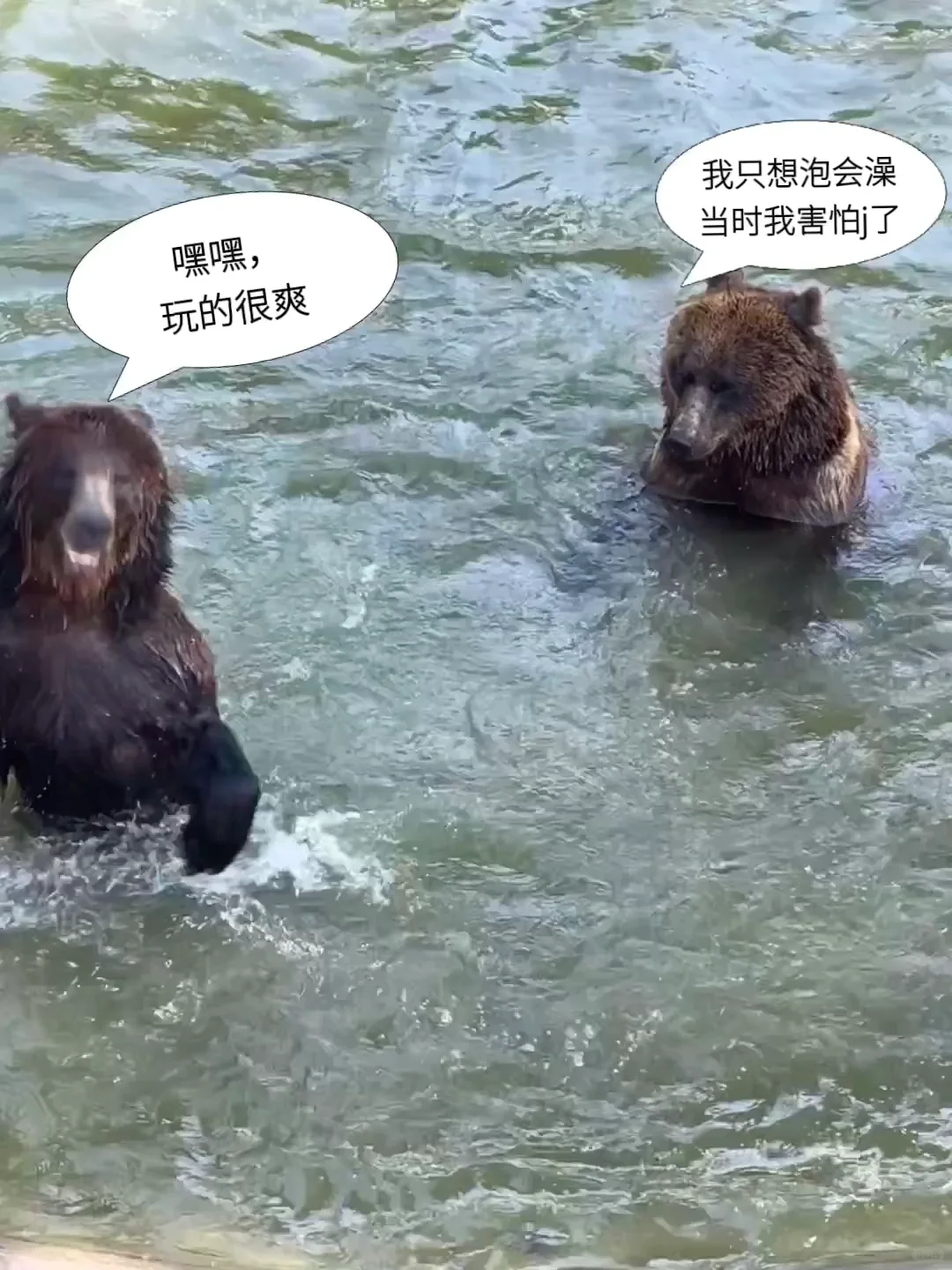 石家庄动物园｜这里开心就像呼吸一样简单‼️