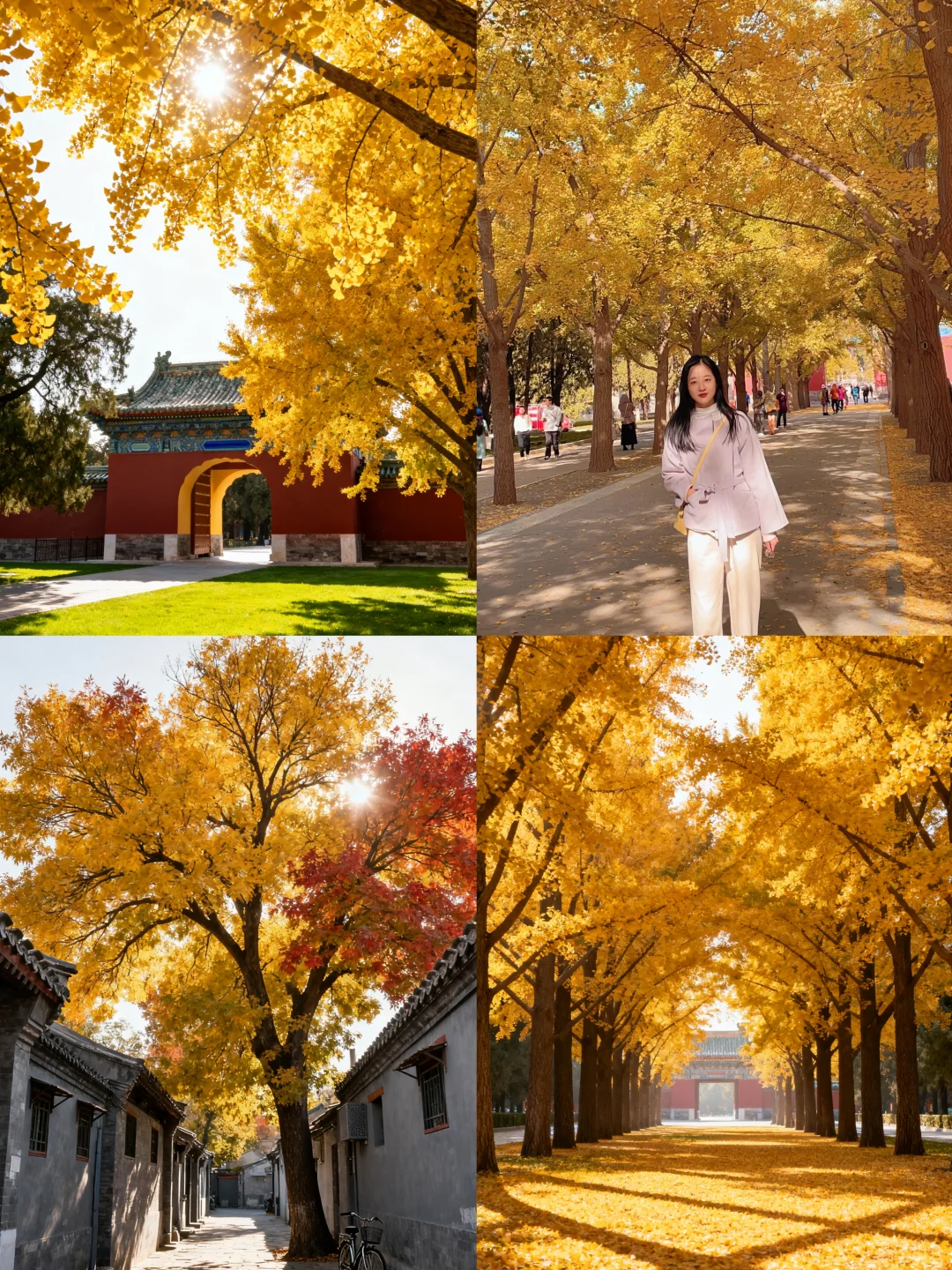 北平之秋旅游攻略📍一篇搞定所有点位