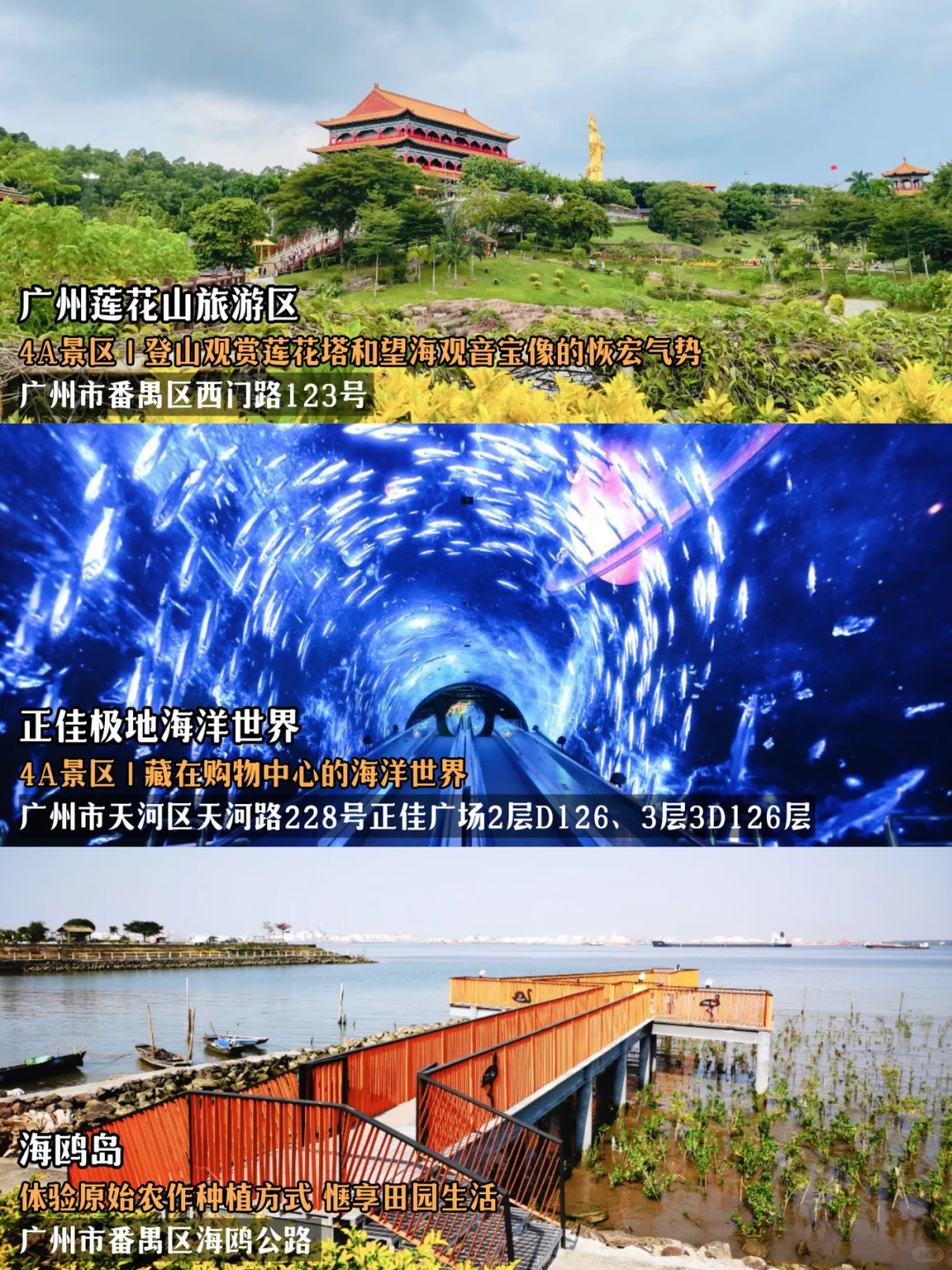 2024“必玩榜”正式发布✅广州36个景点上榜
