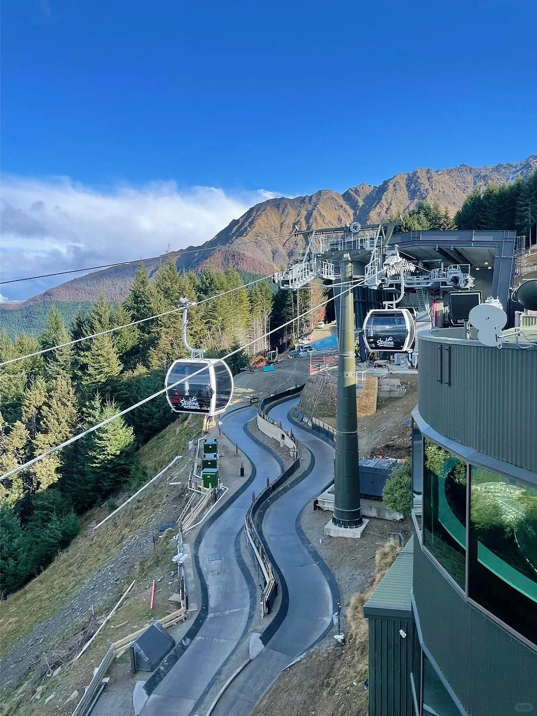 春节反向冲新西兰,邂逅极致纯净之旅‼️