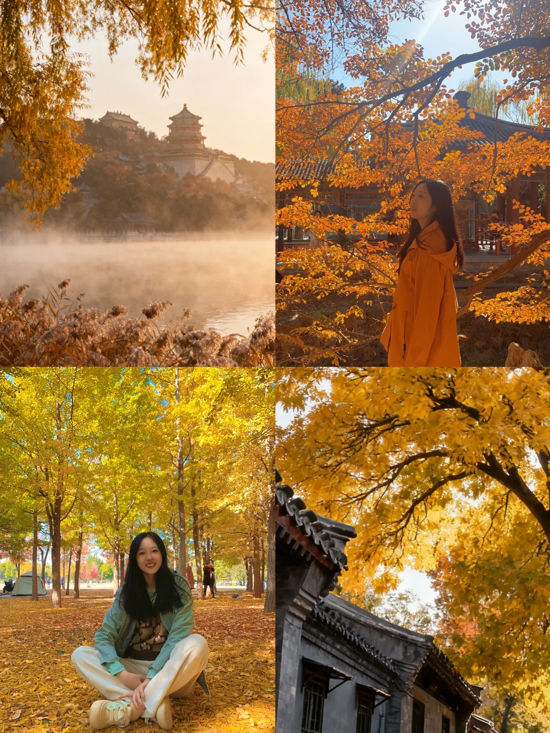 北平之秋旅游攻略📍一篇搞定所有点位