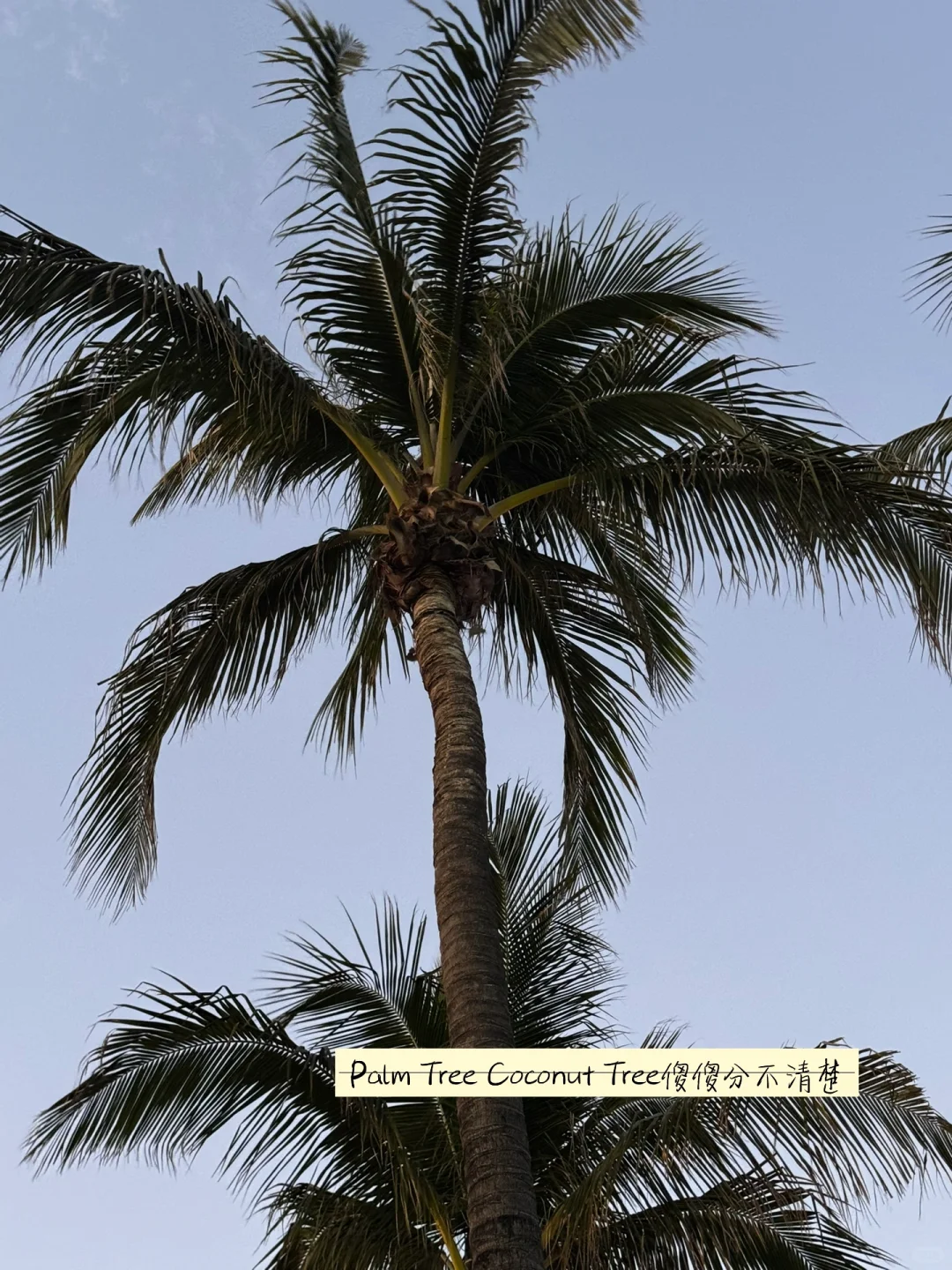 北美职场裸辞｜裸辞后的第一场旅行