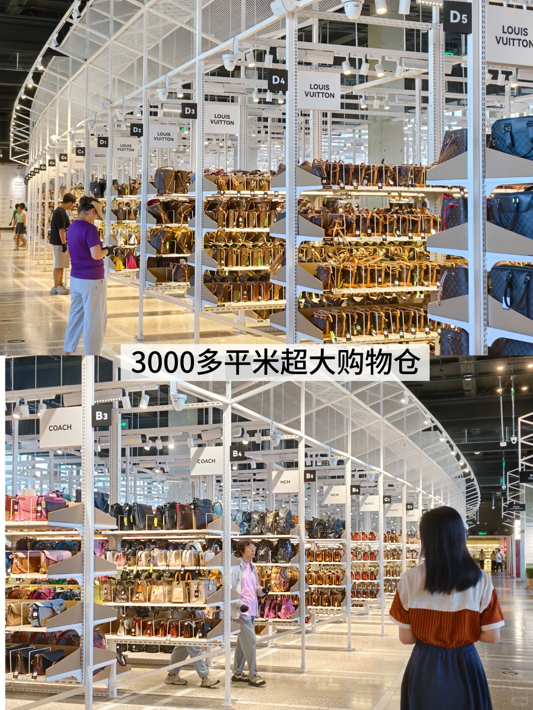 北平之秋旅游攻略📍一篇搞定所有点位