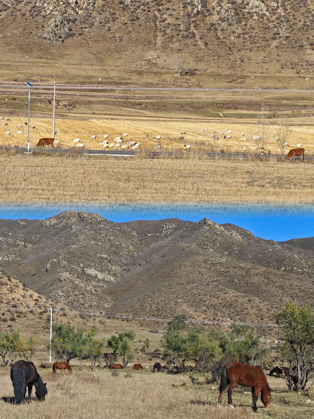 呼市周边赏秋这几个地方一定要去！！！