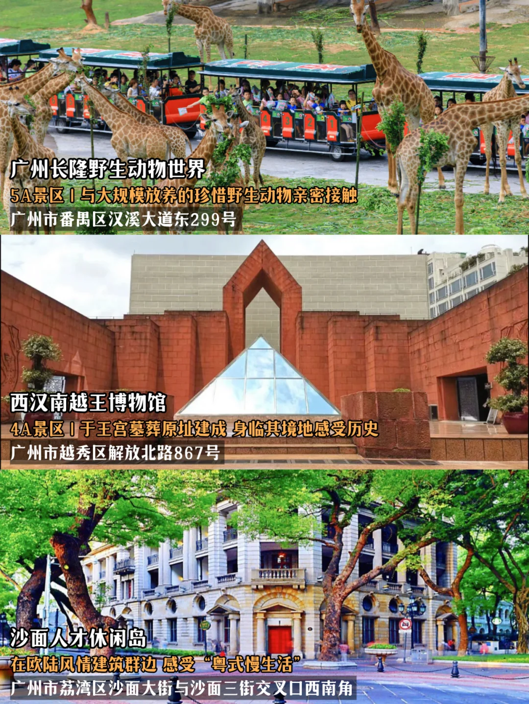 2024“必玩榜”正式发布✅广州36个景点上榜