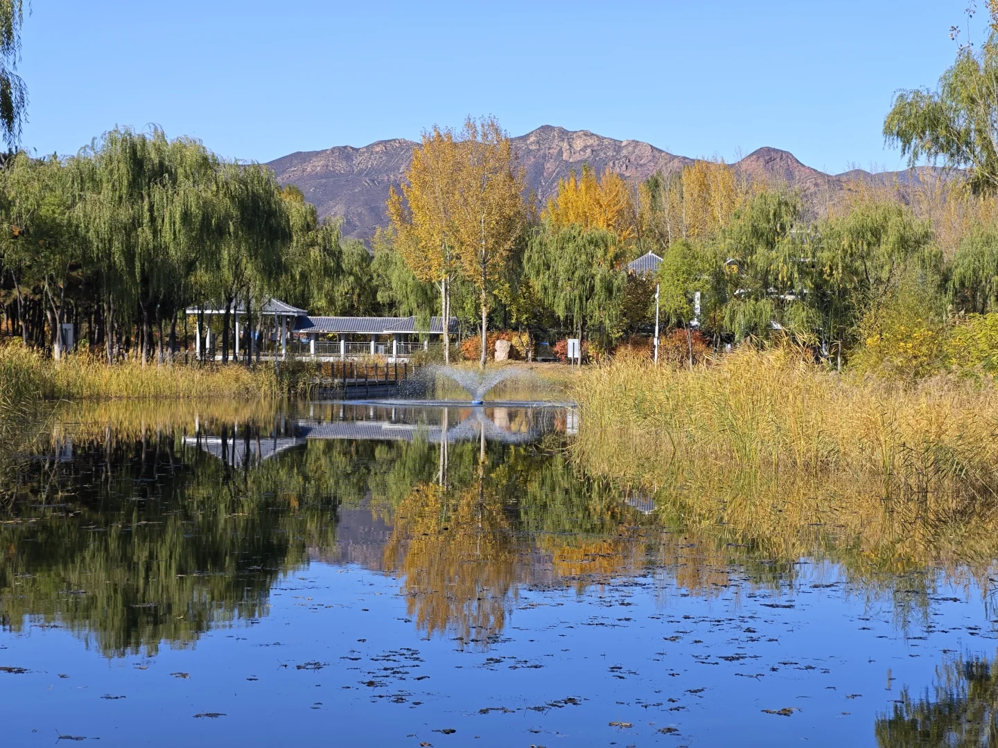 呼市周边赏秋这几个地方一定要去！！！