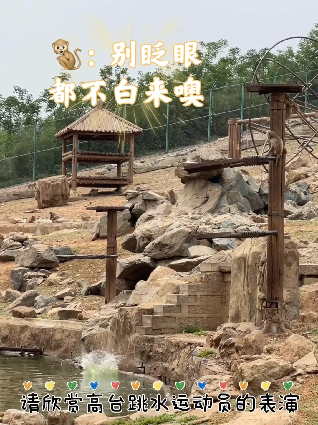 石家庄动物园｜这里开心就像呼吸一样简单‼️