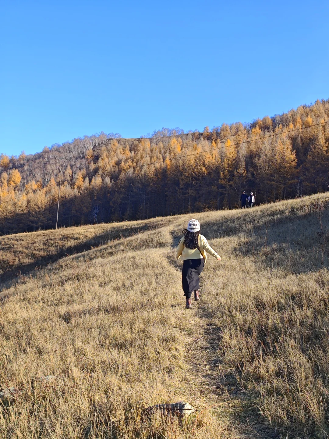 呼市周边赏秋这几个地方一定要去！！！