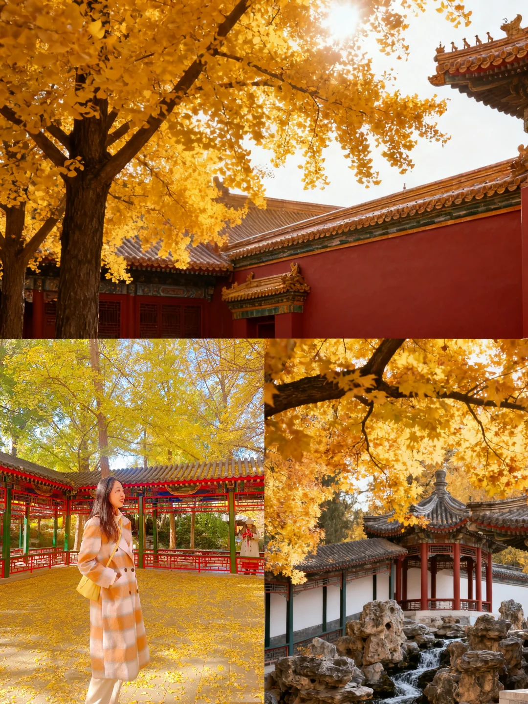 北平之秋旅游攻略📍一篇搞定所有点位