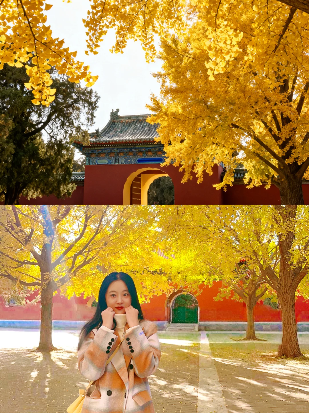 北平之秋旅游攻略📍一篇搞定所有点位